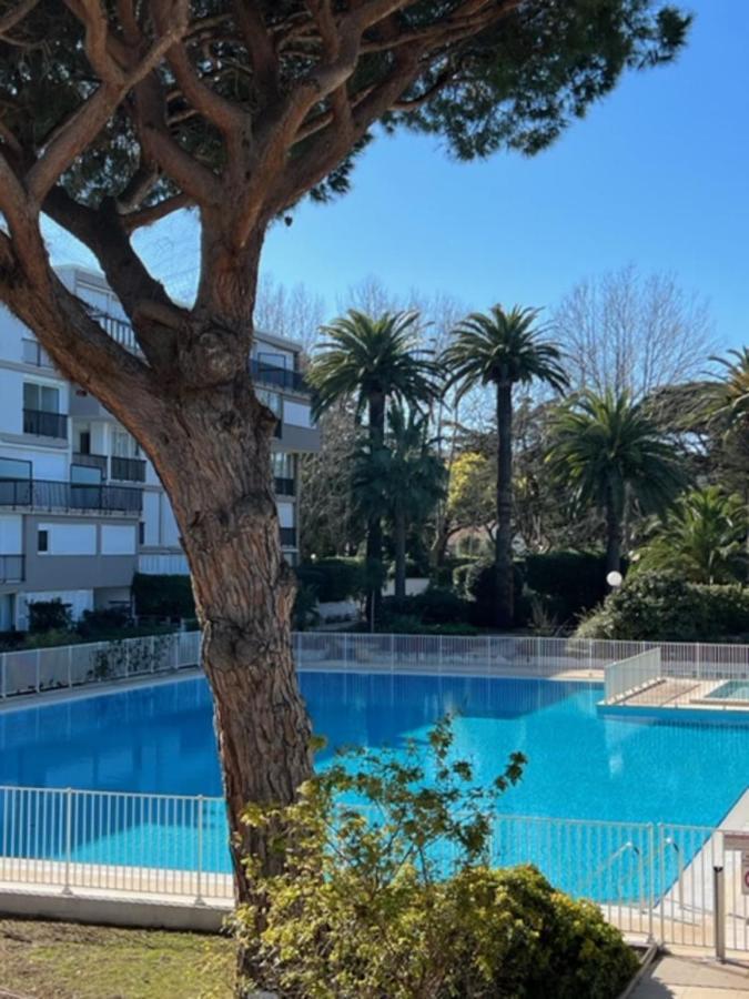 35M With Pool For Couple In Saint Tropez Daire Dış mekan fotoğraf
